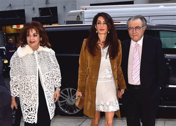Amal Ramzi Alamuddin Net Worth June 2024, Salary, Age, Siblings, Bio