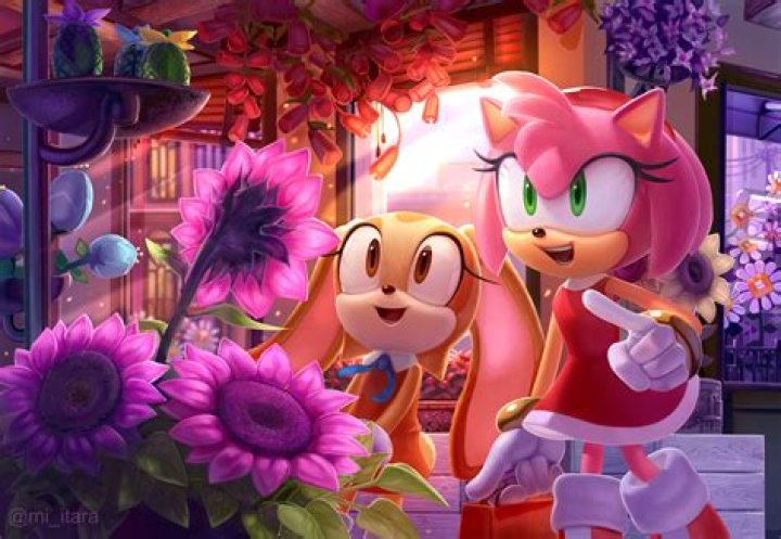 Amy Rose Age 17 Amy Rose Fan Art (9069639) Fanpop