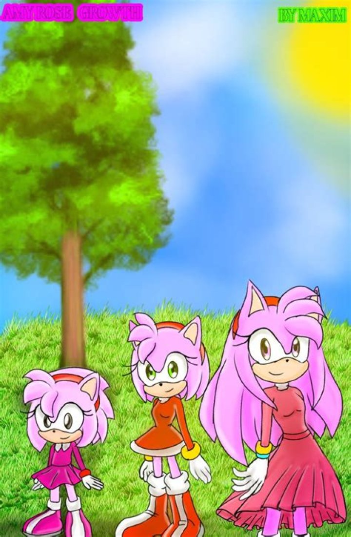 AMY ROSE AGE AND GROWTH ( AGE IN DESCRIPTION ) by MAXIM12Fanart on