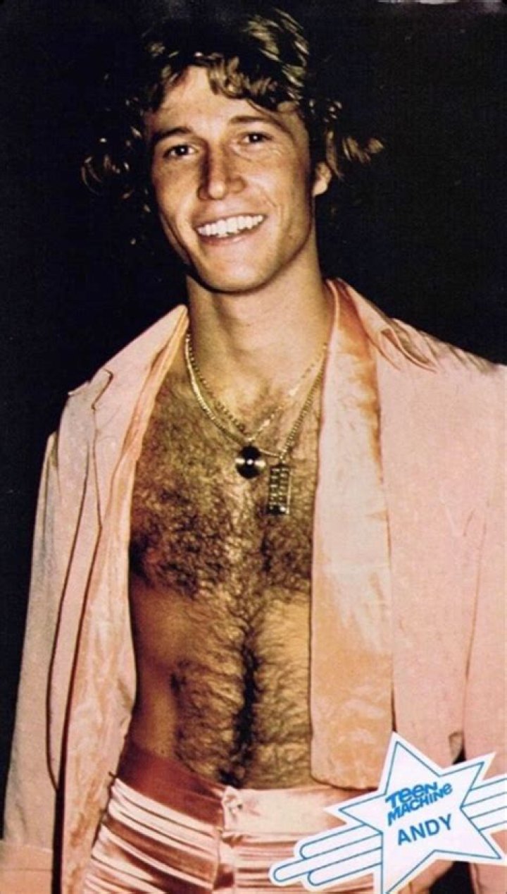 Andy Roy, Robin, Victoria Principal, Andy Gibb, Disco Music, Bee Gees