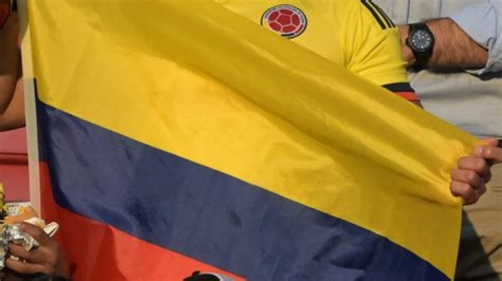 Anna de Villa Desaf&iacute;o Colombia Wiki Fandom