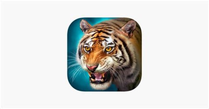 Annie Knight The Tiger Online