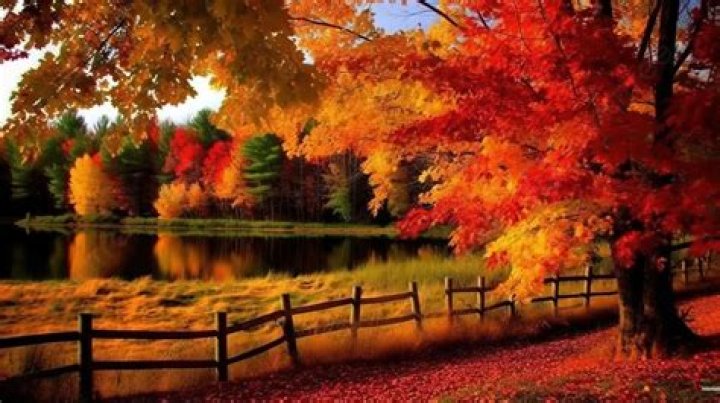 Anthony Starr, Fall Background Wallpaper, Sigma Male, Christian Bale