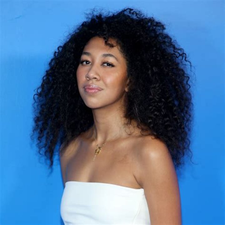 Aoki Lee Simmons Defends Her Decision to Pursue Modeling While