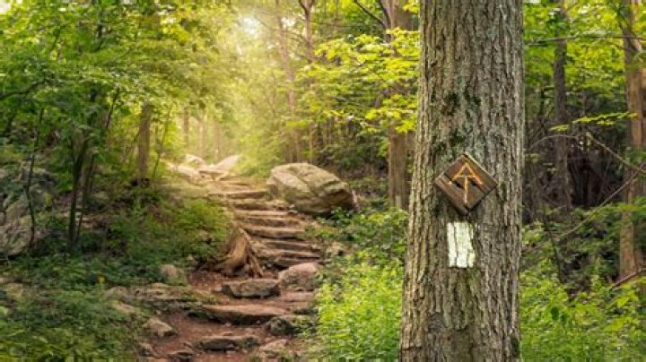 Appalachian Trail The Guide to Hiking the 2,200Mile A.T.