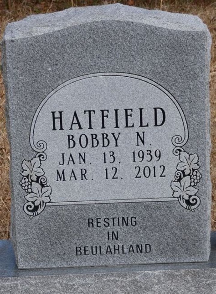 APPRECIATION / BOBBY HATFIELD 19422003 / Powerful soul and inspiration