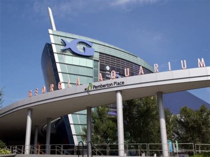 Aquarium Evacuated, Flooded Due To Stormwater Report Atlanta