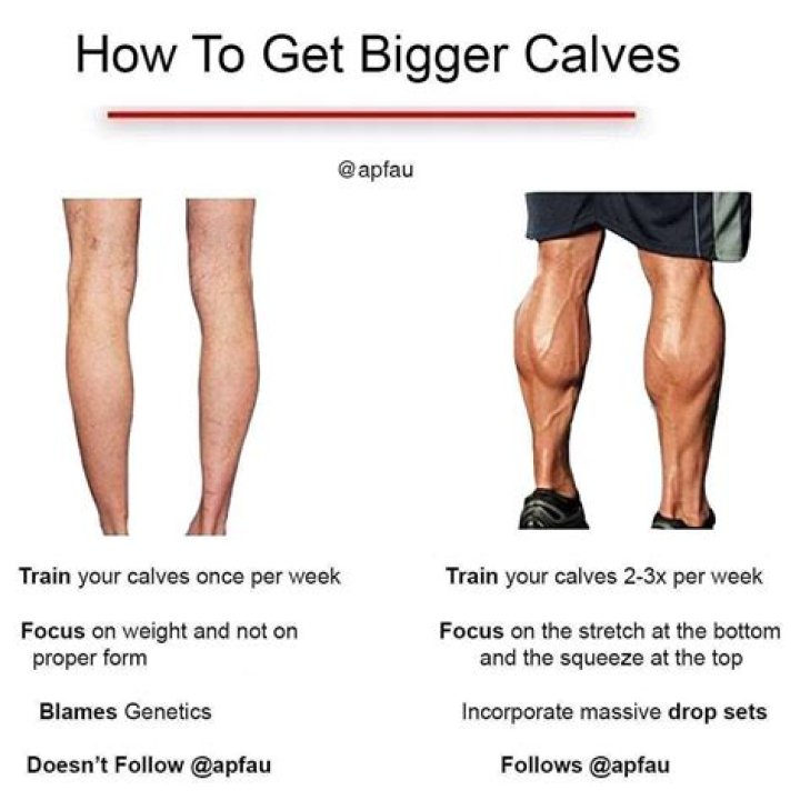 Are 16 Inch Calves Big? Find Out Here!
