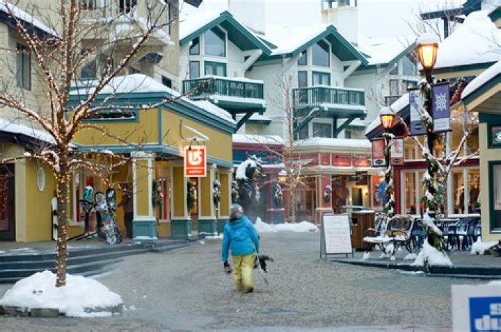 Are Dogs Allowed In Stratton Village
