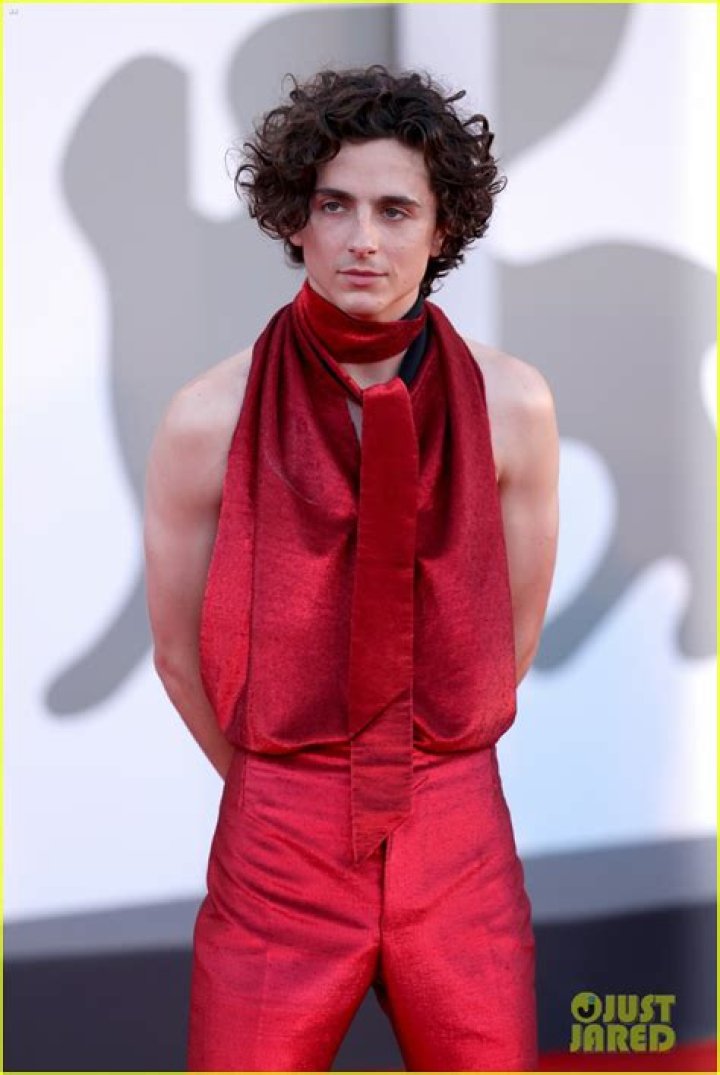 Are Timothee Chalamet, Taylor Russell Dating Updates J14