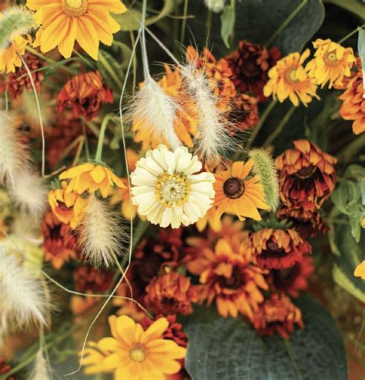 Artist in Focus Rebecca Muller TheBurg