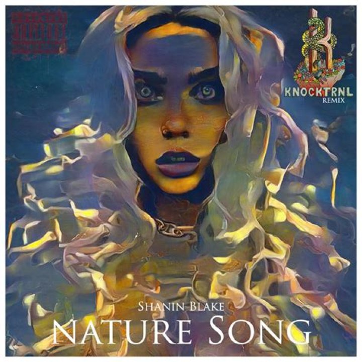Artist Spotlight Shanin Blake &bull; Volume