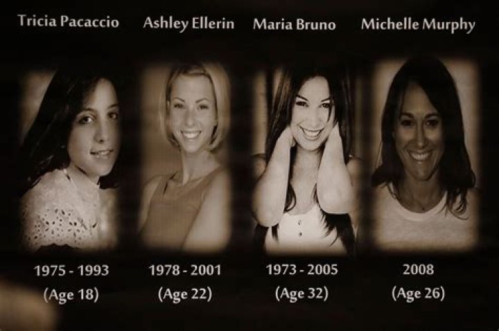 Ashley Ellerin 5 Fast Facts You Need to Know