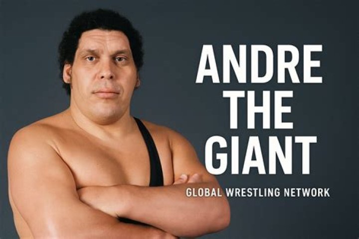 Assistir Andre the Giant Online Tem S&eacute;ries Online