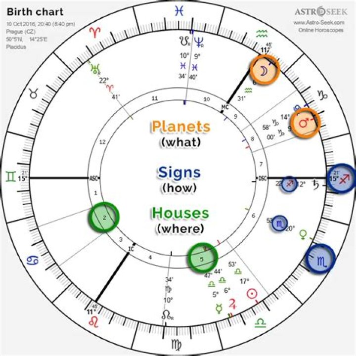 Astrological Houses Divisions Natal chart astrology, Natal charts
