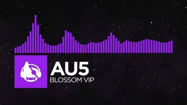 Au5 Blossom (VIP) YouTube