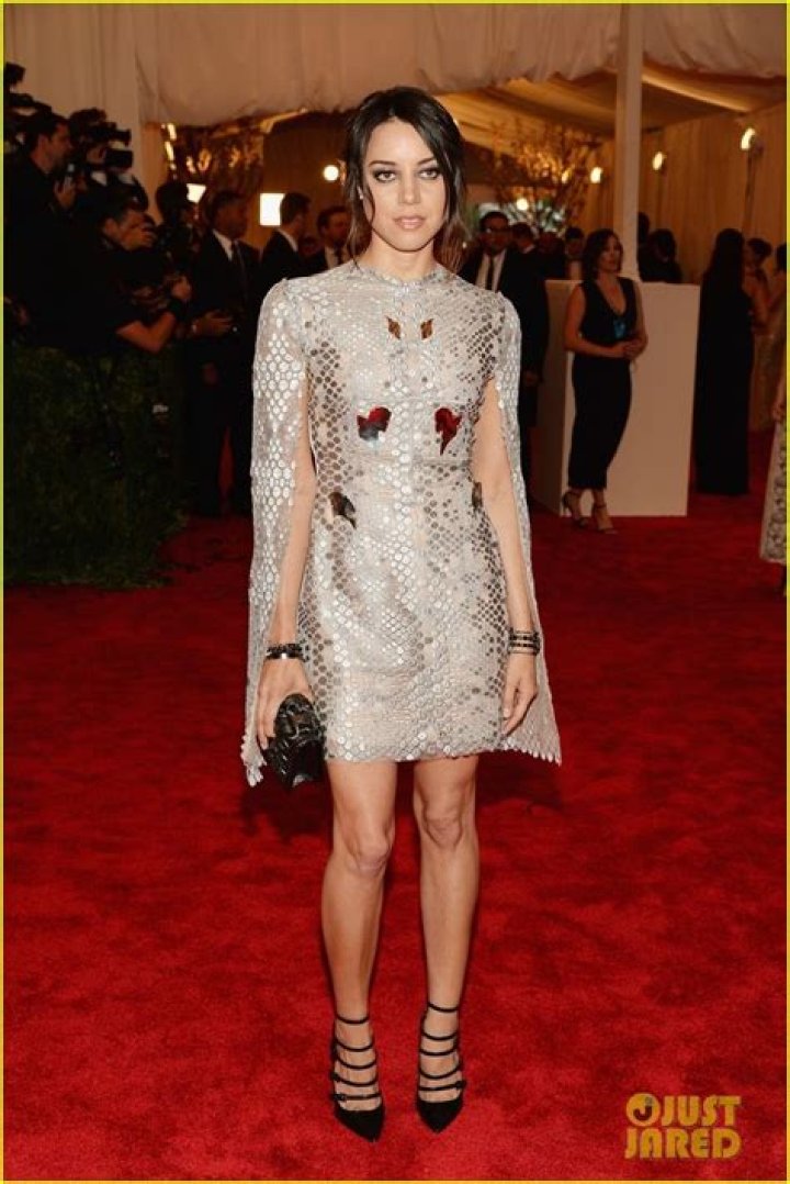 Aubrey Plaza Met Ball 2013 Red Carpet Photo 2865571 Aubrey Plaza