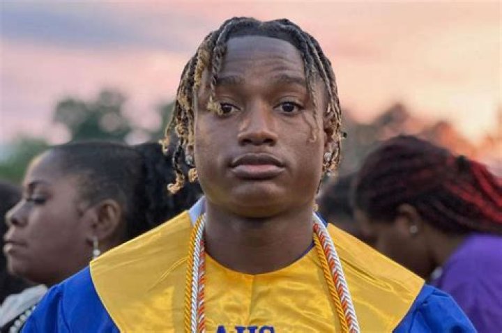 Austin Young Facts, Bio, Career, Net Worth AidWiki EroFound