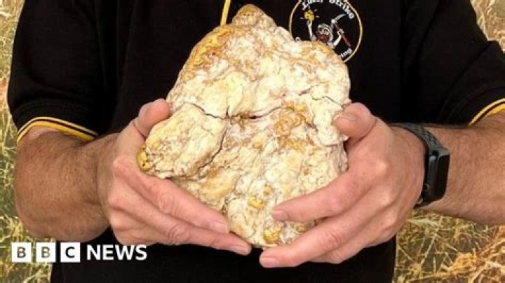 Australian finds 'reallife Pikachu' in the wild