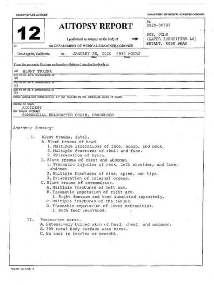 Autopsy Report Case 13