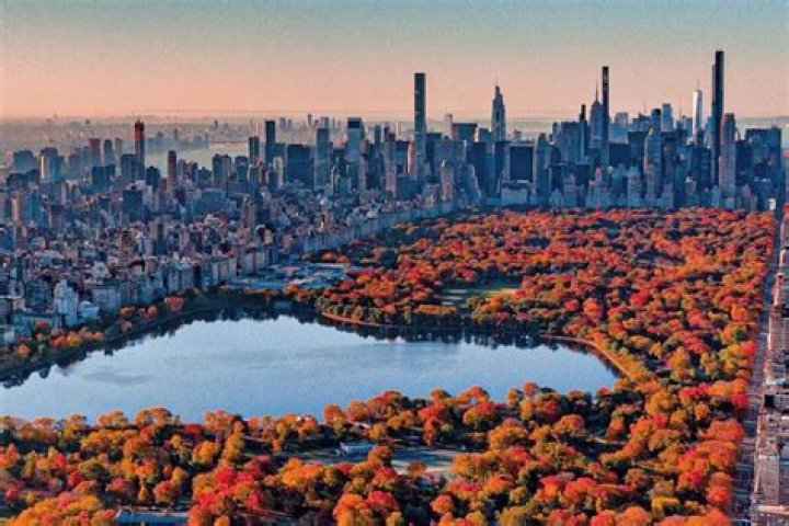 Autumn in New York N&deg;3 Rug by Thomas Dariel For Sale at 1stDibs