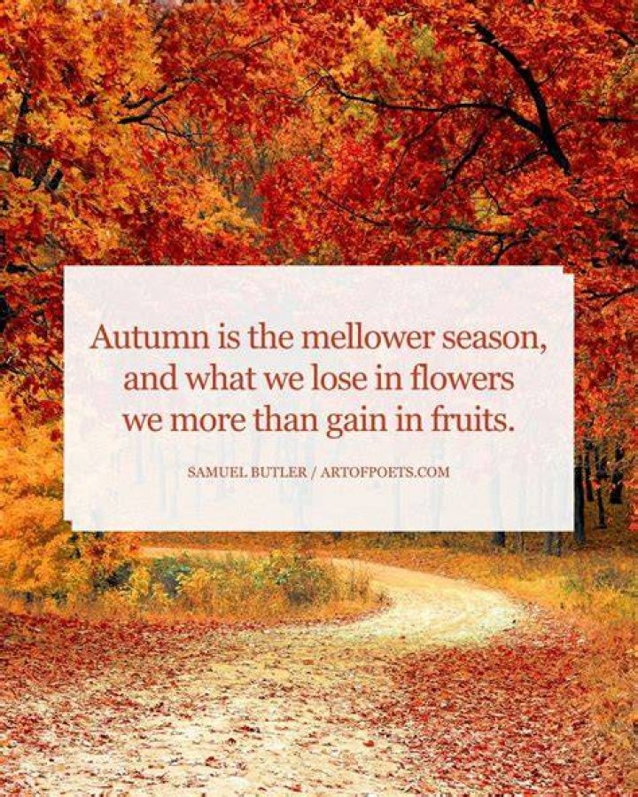 Autumn Nelson picture