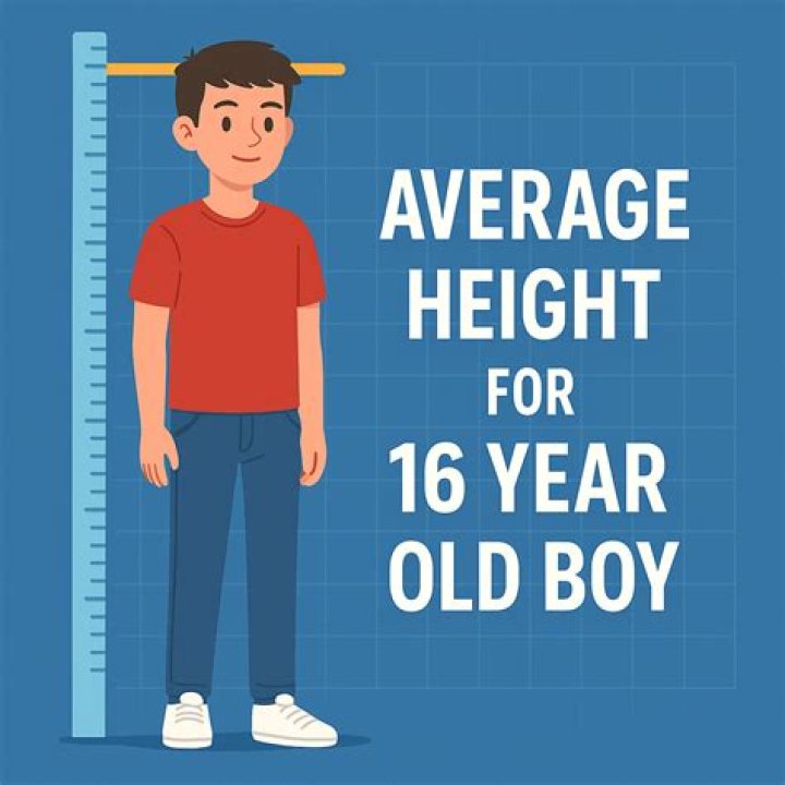 Average Height For 16 Year Old Boys and Girls 2022 Hood MWR