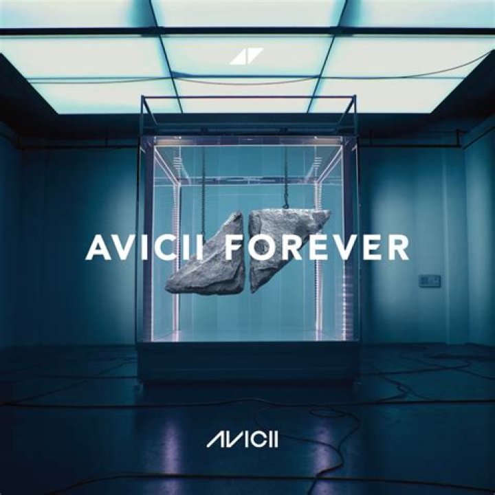 Avicii Remembered on Social 50 Chart Following Death Billboard