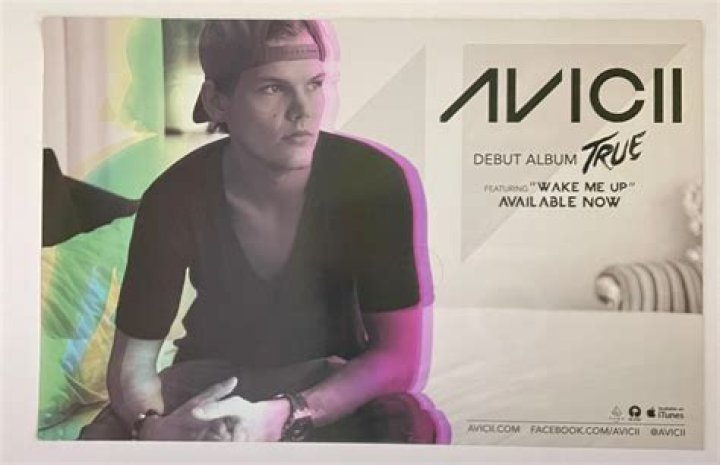 Avicii Talks Quitting Touring, Disappointing Madonna, New Music