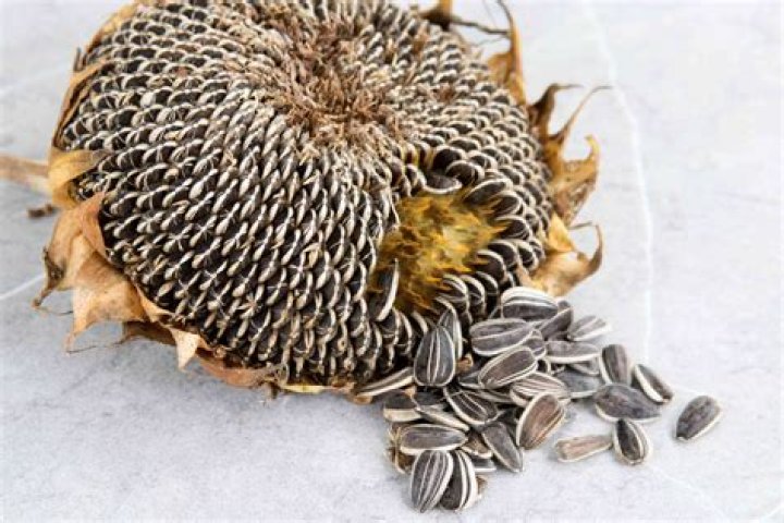 Avocado With Sunflower Seeds Whole30 Snacks POPSUGAR Fitness Photo 12