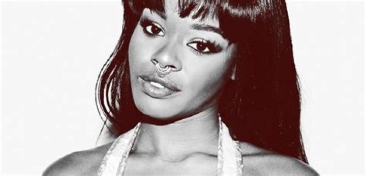 Azealia Banks Gets Axed from U.K. Festival After Her Racist Tweets to Zayn