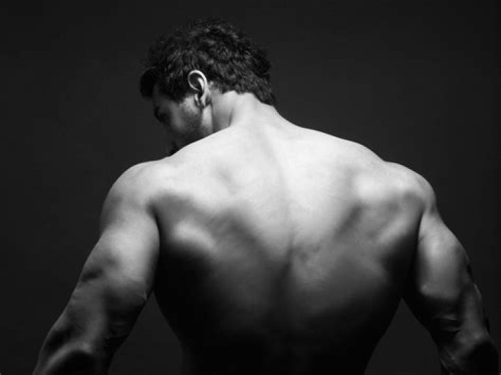 Back Muscle Wallpapers Top Free Back Muscle Backgrounds WallpaperAccess