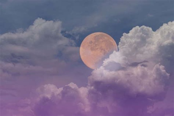 Banshee Moon Banshee Moon Pinterest