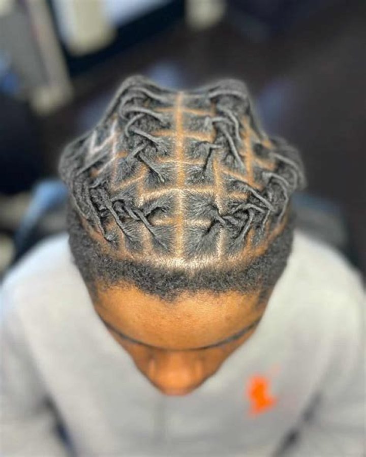 Barrel Twists Hair styles, Beauty, Locs