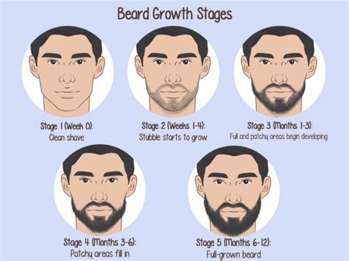 Beard Growth Stages Beard Growth Tips Salons Direct Free Nude Porn Photos