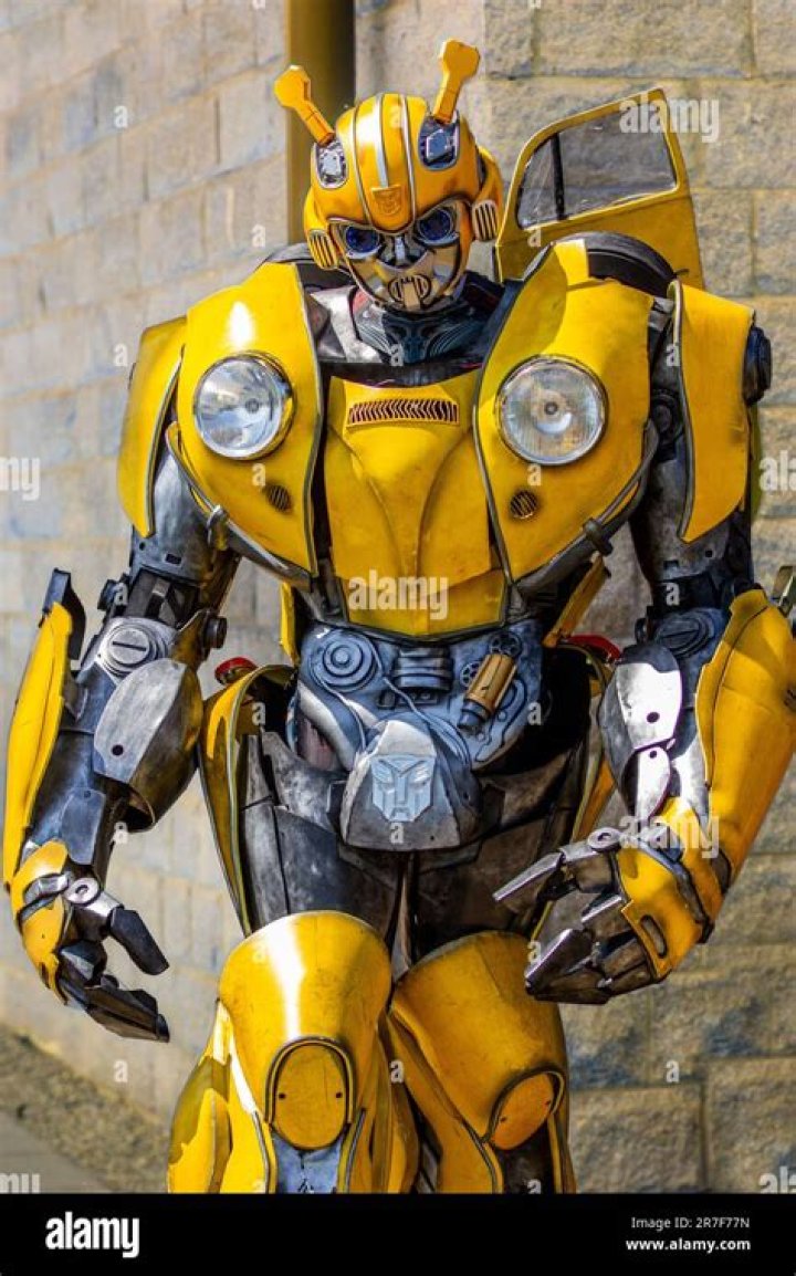 Bee Spotlight The Bumblebee &middot; ExtermPRO