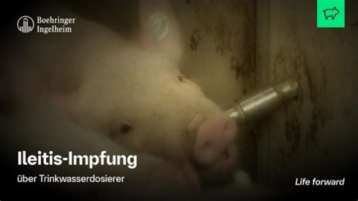 Beispiel Impfung Heuchler gene simmons and shannon tweed Steak LKW metrisch