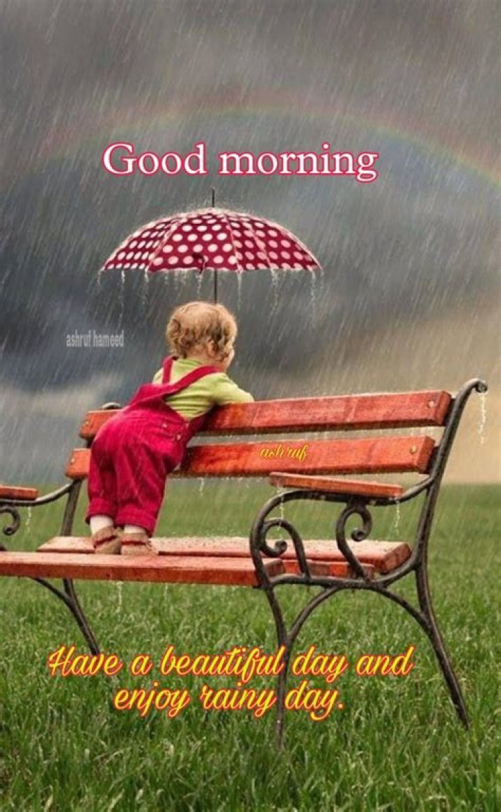 Best Rainy Day Good morning Images Good morning rain, Good morning