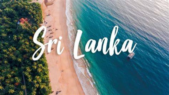 Best SEO Services Sri Lanka Professional SEO Services
