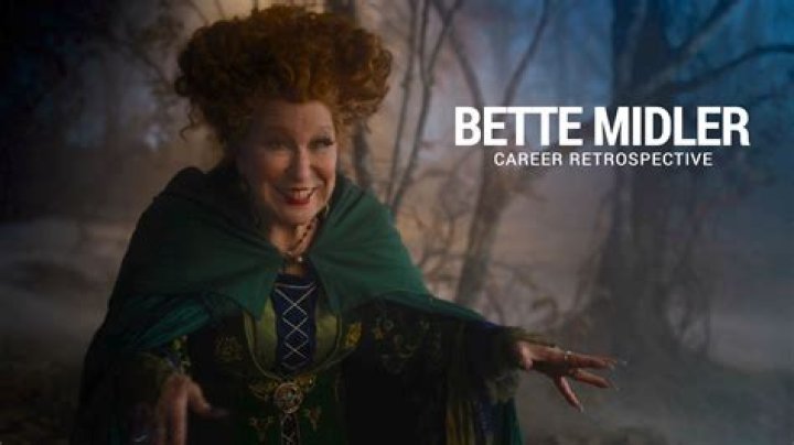 Bette Midler &ldquo;The Rose&rdquo; Lyrics Meaning MelodyInsight