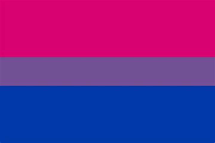 Bi Flag by EmeraldFlames97