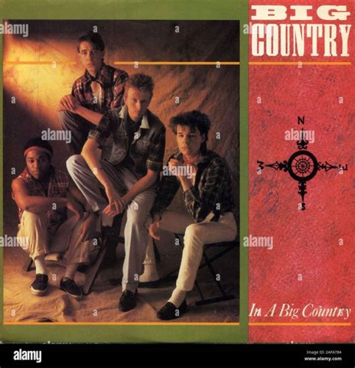 Big Country In A Big Country (1995, CD) Discogs