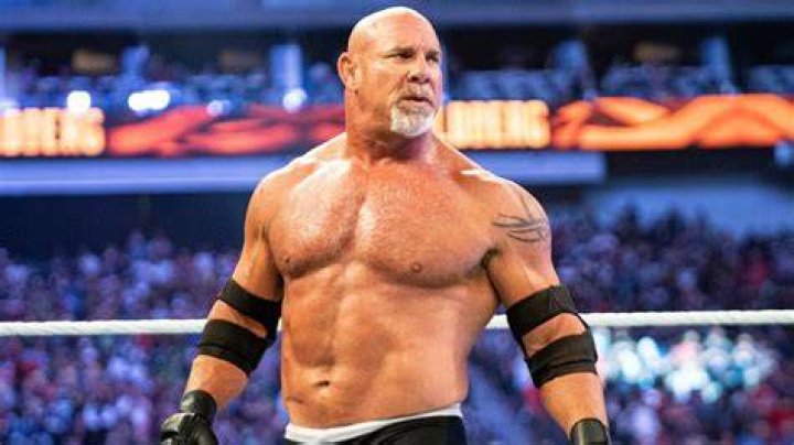 Bill Goldberg Net Worth Return News 2024 Achievement