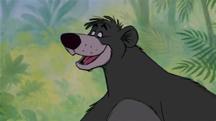 Bill Murray to Play Baloo the Bear in 'The Jungle Book' Newsweek