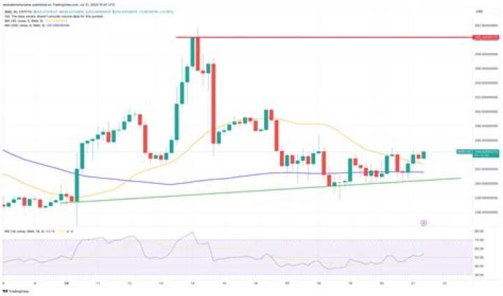 Binance Coin Price Prediction as BNB Stays Above 250 Can it Spike to