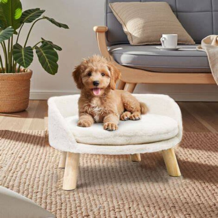 BingoPaw Cat Sofa Chair Bed Elevated Nordic Pet Stool Bed with