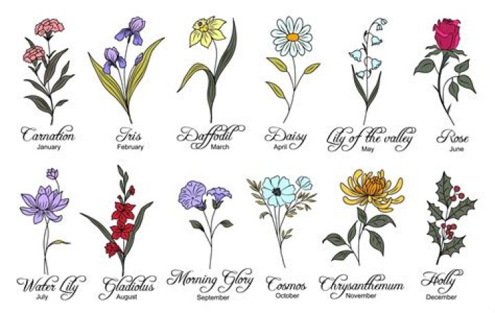 Birth Flowers By Month
