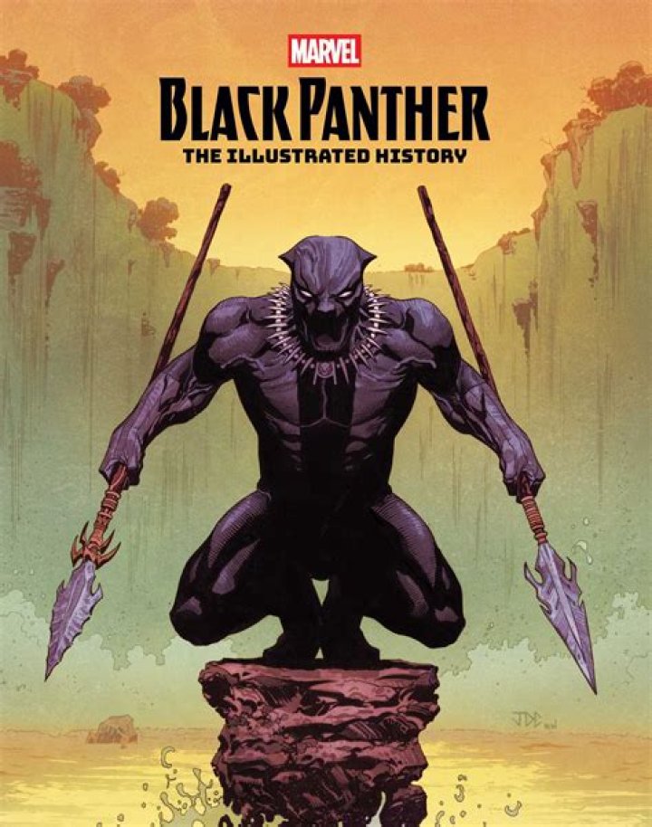 BLACK PANTHER 3 Comic Book Direct