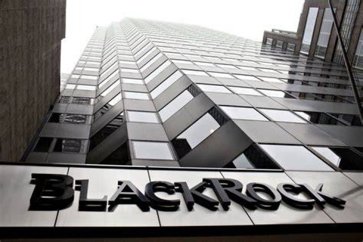 BlackRock CEO Tells Companies To Contribute To Society. Here's Where To