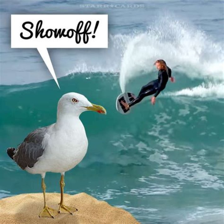 Blair Conklin and skimboarder friends pull off insane rides in California
